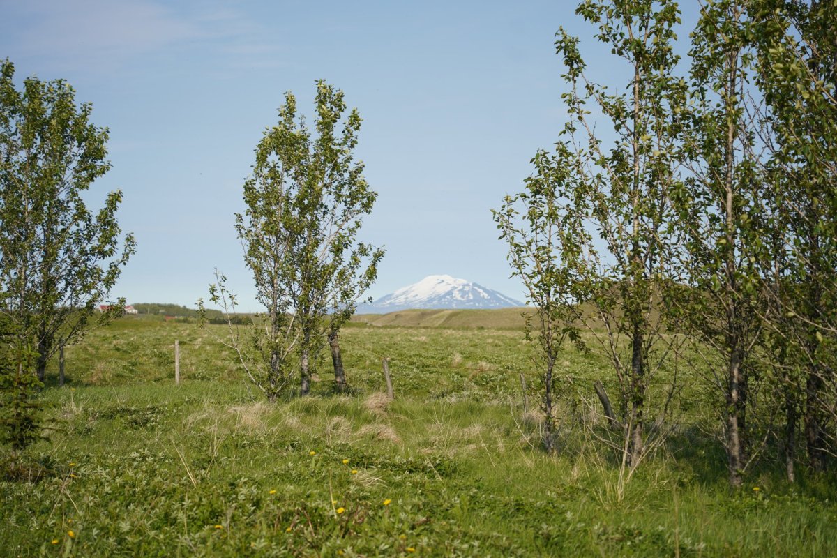 Verslunar og þjónustulóð